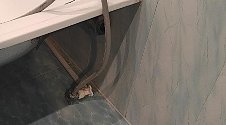 Установить новую отдельно стоящую стиральную машину