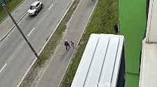Установить новый кондиционер 