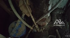 Установить и подключить стиральную машину