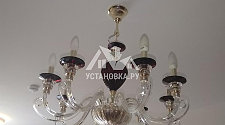 Установить подвесную люстру Odeon Light Siena 3929/8