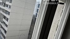 Заказ № 183784