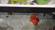 Установить новую отдельно стоящую стиральную машину