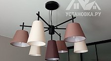 Установить потолочную люстру Indigo Abbinare 13032/7P Black V000534
