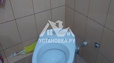 Установить новый напольный унитаз в д. Павлино