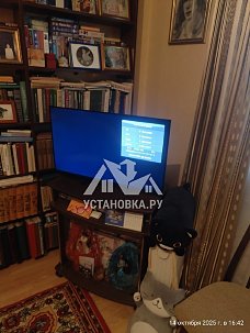 Заказ № 193197/Г-00041221