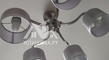 Установить потолочную люстру Eurosvet Ofelia 60070/5
