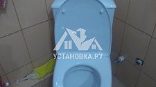 Установить новый напольный унитаз в д. Павлино