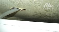 Установить стиральную машину в коридоре