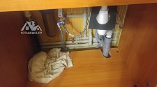 Установить посудомоечную машину Hansa ZWM 416 SEH