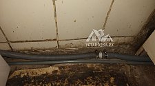 Установить отдельностоящую стиральную машину Indesit на кухне