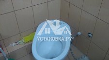 Установить новый напольный унитаз в д. Павлино