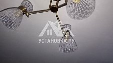 Установить люстру Lumion Jackie 3704/3C