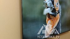 Установить телевизор