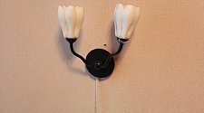 Установить новое настенное бра ODEON LIGHT GARDI 5090/2W