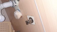 Установить встраиваемую посудомоечную машину