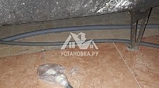 Установить новую отдельностоящую ванной и стиральную машину фирмы Hotpoint-Ariston