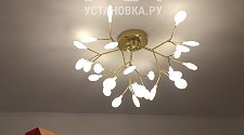 Заказ № 181675