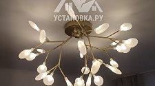 Заказ № 181675