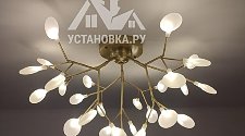 Заказ № 181675