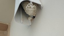 Работа