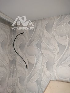 Заказ № 187681/M0030435