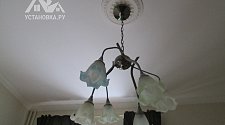 Установить люстру Odeon Light Horte 3259/5