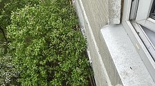 Установить кондиционер