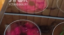 Заказ № 185882