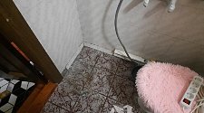 Установить холодильник или морозильник