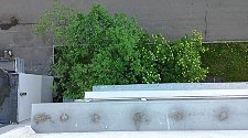 Установить новые кондиционеры