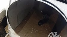 Установить/подключить стиральную машину