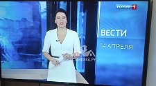 Повесить телевизор