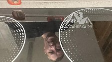 Заказ № 189651