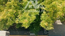 Установить Кондиционер
