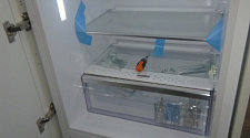 Установить встраиваемый холодильник Zigmund & Shtain