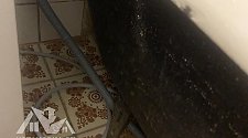 Установить новую отдельно стоящую стиральную машину