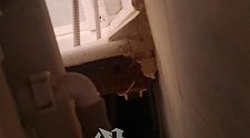 Установить/подключить стиральную машину