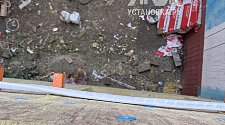 Заказ № 189436/V046531421