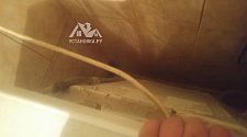 Подключить стиральную машинку Indesit IWUB - 4085