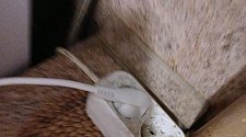 Установить холодильник или морозильник