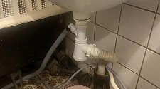 Установить новую отдельно стоящую стиральную машину