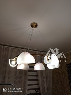 Установить новую потолочную люстру LUMION FIORO 6571/6