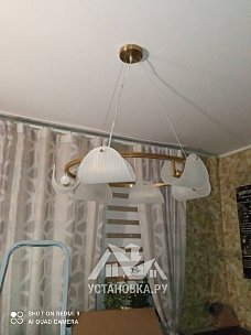 Установить новую потолочную люстру LUMION FIORO 6571/6