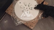 Установить потолочный светильник Crystal Lux JEWEL PL500 WH