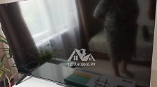 Установить/подвесить и настроить телевизор