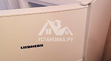 Установить отделностоящий холодильник Liebherr