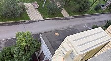 Установить новый кондиционер 09 модели
