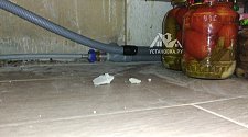 Заказ № 190106/Г-00029529