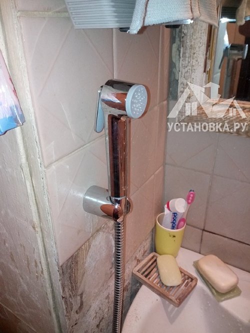 Демонтировать и установить гигиенический душ