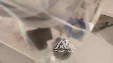 Заказ № 182412